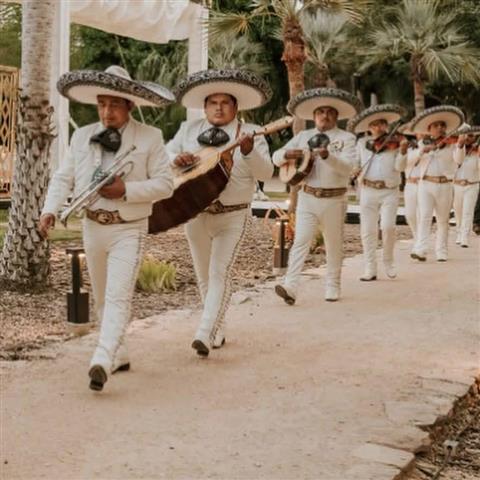 MARIACHI EN MÉRIDA YUCATAN image 5