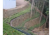 Muros Ecologicos en Caracas en Caracas