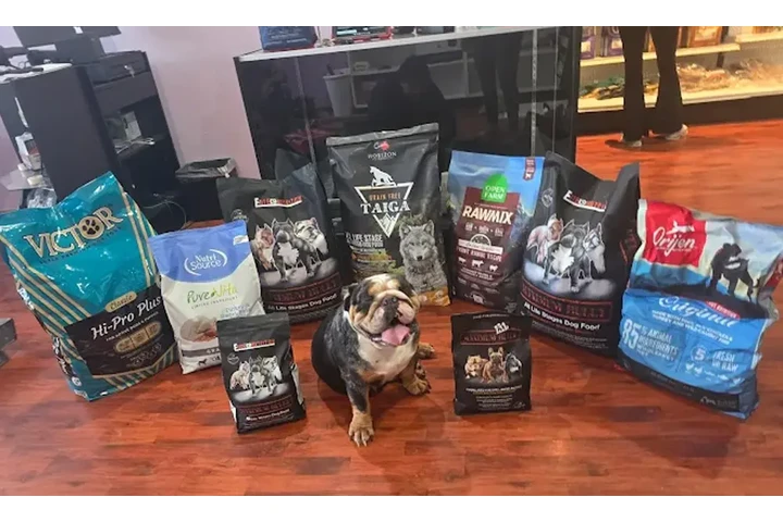 Canine Cuisine image 1