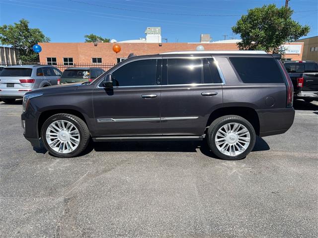 $31888 : 2016 Escalade Platinum, BEAUT image 2