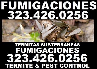 Home Inspector-Termite 24/7. image 4