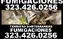 Home Inspector-Termite 24/7. thumbnail