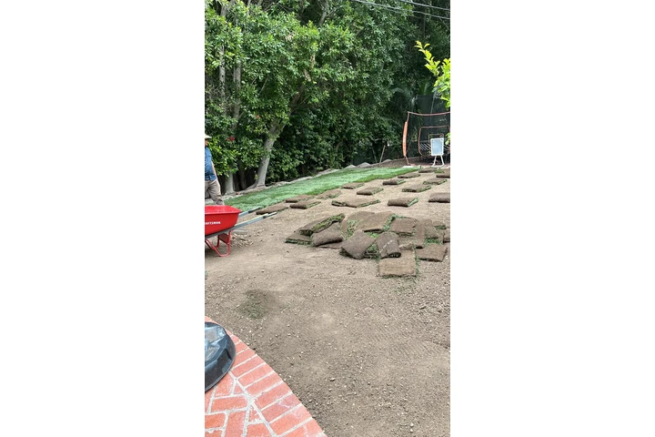I offer my gardening services image 8