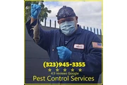 FUMIGACIONES HUNTINGTON PARK en Ventura