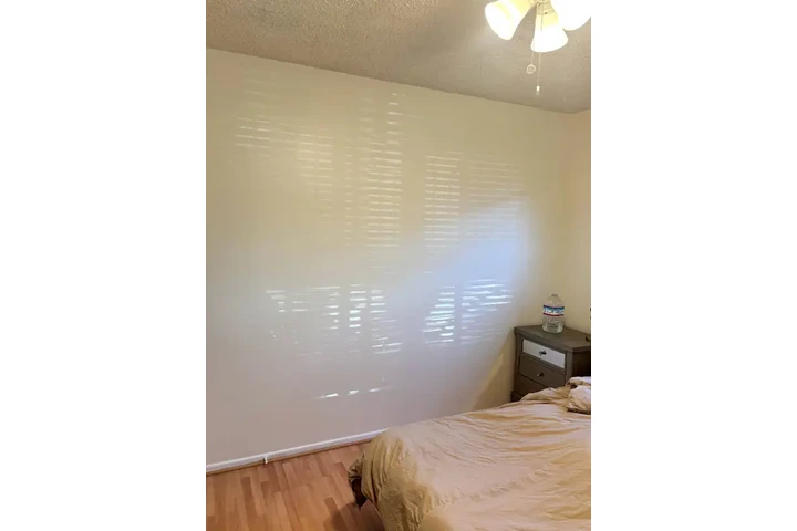 House Painter image 3