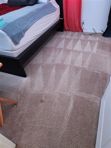 Arizmendi's Carpet Cleaning image 2