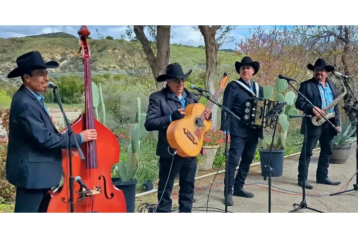 Buena Música a Muy Buen Precio image 1