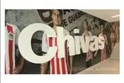 Graphitex Publicidad thumbnail 4