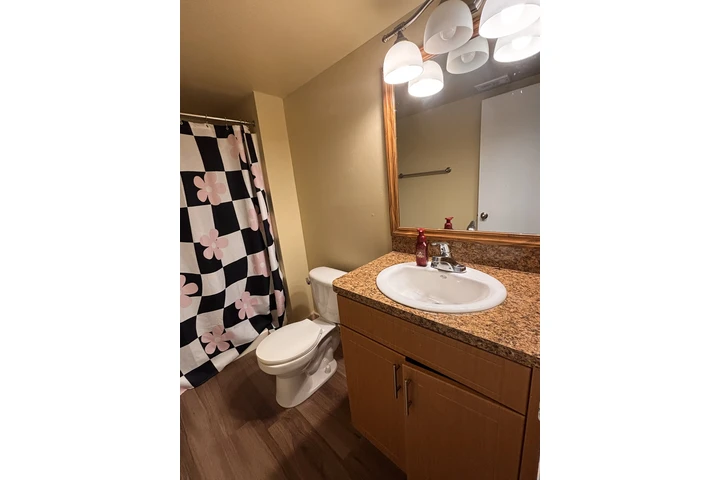 $1000 : Room for rent image 2