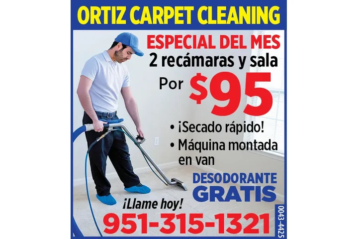 LIMPIEZA DE ALFOMBRAS image 1