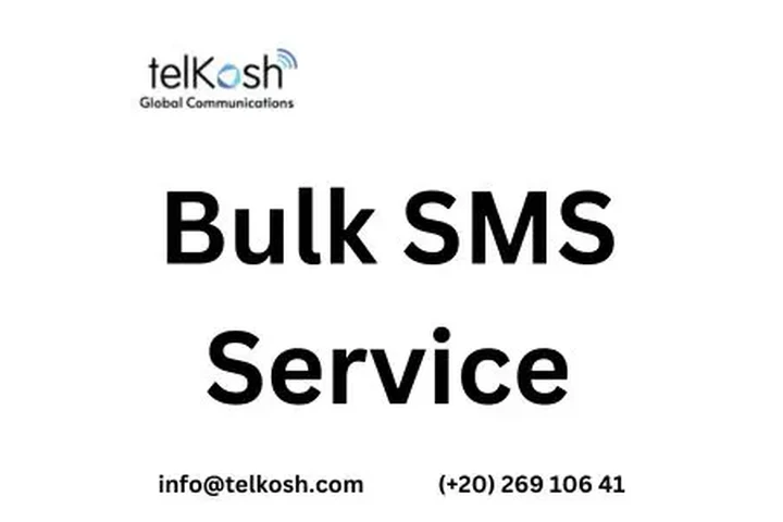 Affordable Bulk SMS Service image 1
