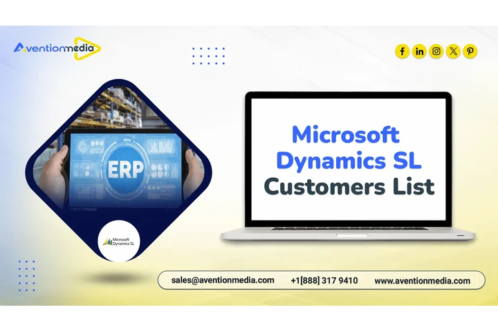 MS Dynamics SL Customers List image 1