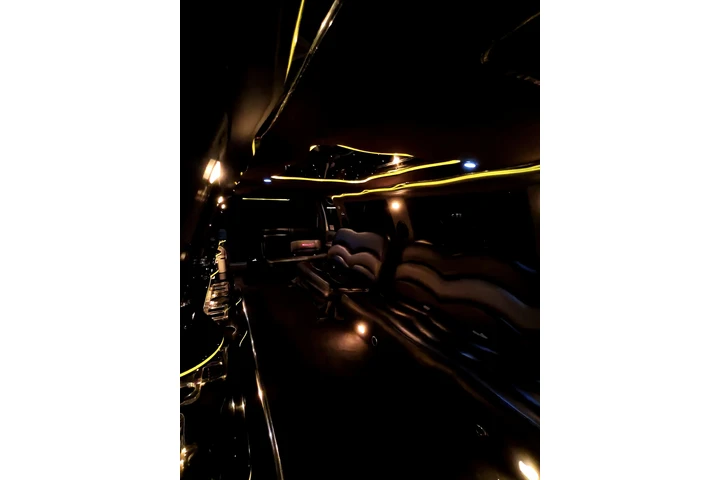 Limousine Business image 5