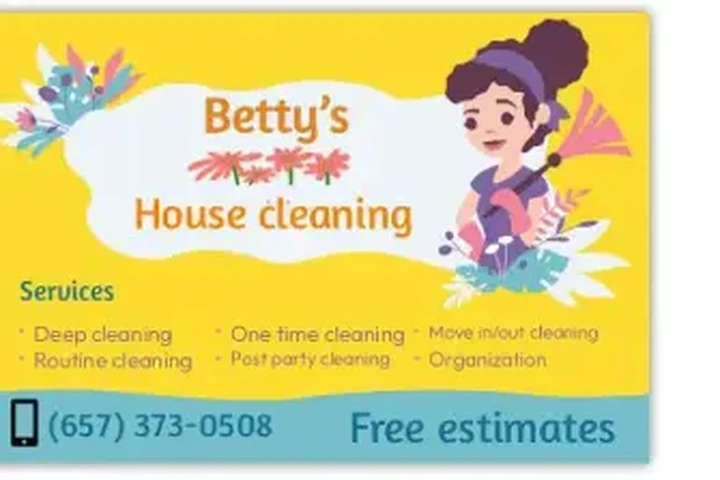 INDEPENDENT HOUSE CLEANER image 1