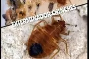 FUMIGADORES ORANGE COUNTY 24/7 thumbnail