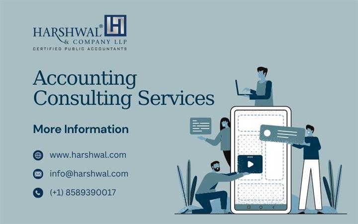 Accounting Consulting Services image 1