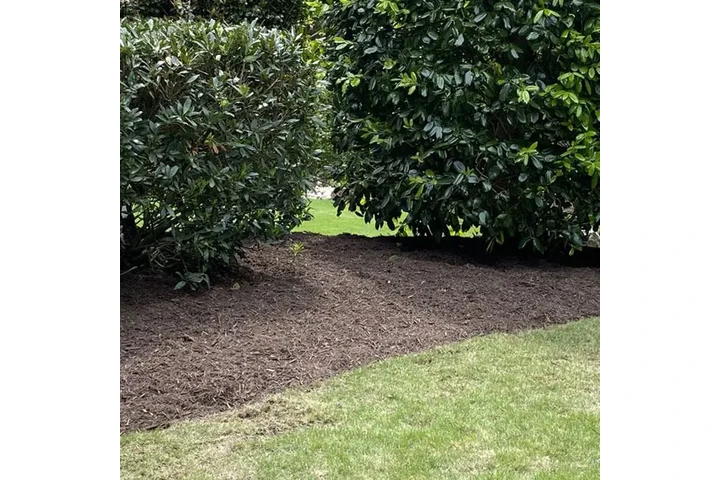 Estimados GRATIS image 6