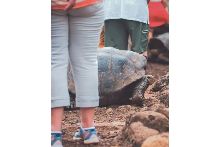 GALÁPAGOS PARA TI 🇪🇨🥰 image 3