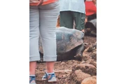 GALÁPAGOS PARA TI 🇪🇨🥰 thumbnail