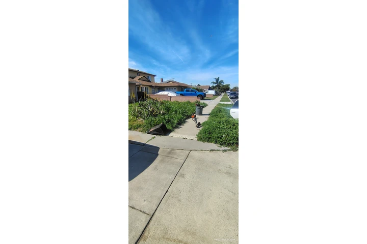 $35 Corte de Pasto $35 image 1