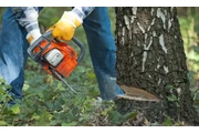 4 Winds Tree Service thumbnail 2