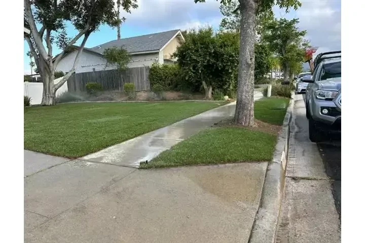 🌳 Francisco Toc Landscaping image 6
