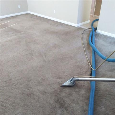 661 Carpet Cleaners image 1