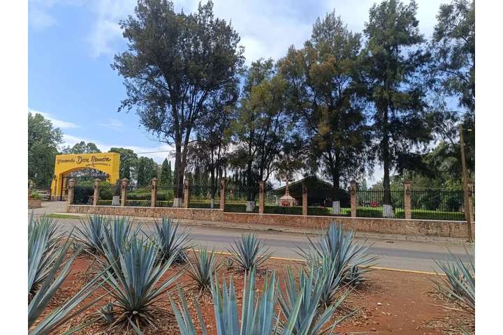 $80000000 : HACIENDA DON RAMON EN VENTA image 8