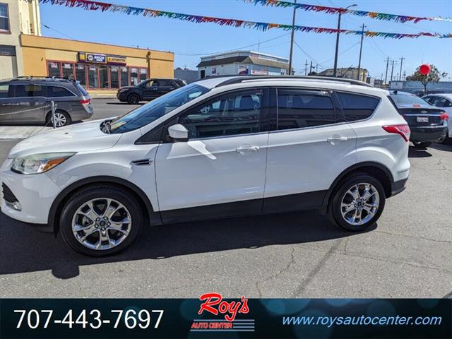 2014 Escape SE AWD SUV image 4