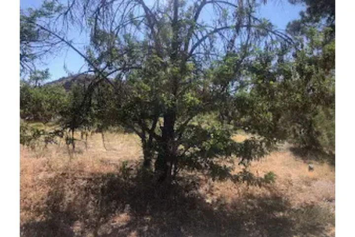 VENTA DE TERRENOS POR DUEÑO image 3