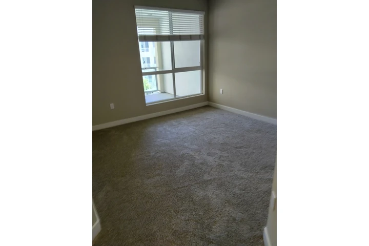 Pinto flooring image 5