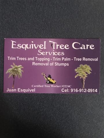 Esquivel Tree Care Services image 1