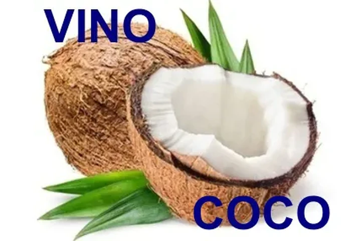 vinos artesanales image 3