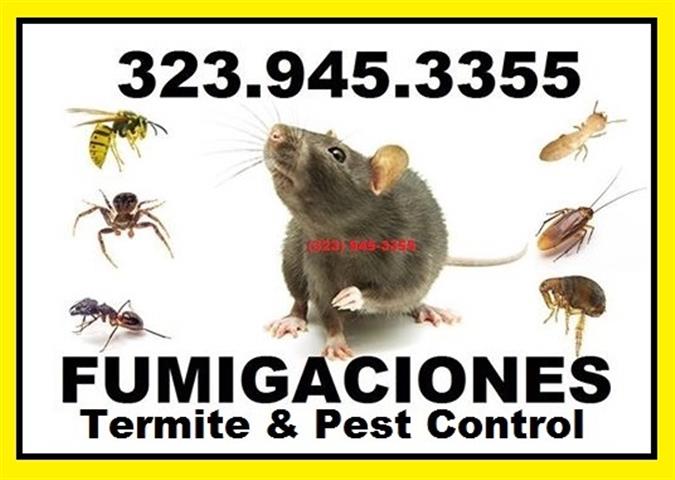 👉FUMIGACION/CONTROL DE PLAGAS image 3