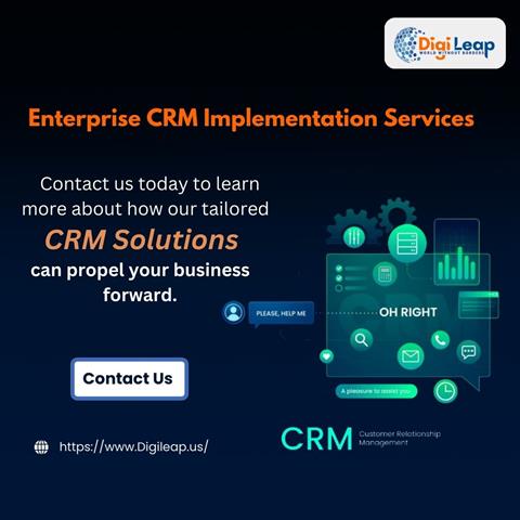 Enterprise CRM Implementation image 1