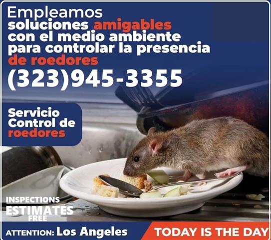 FUMIGACIONES 24/7 PEST CONTROL image 3