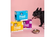 Proudi thumbnail