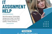 IT Assignment Help en London