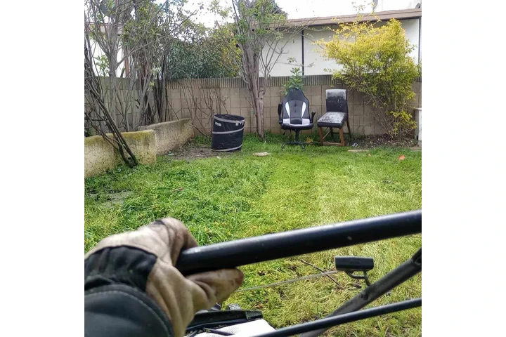 Grasscut weeds shrubs 🏡📲🌴 image 5