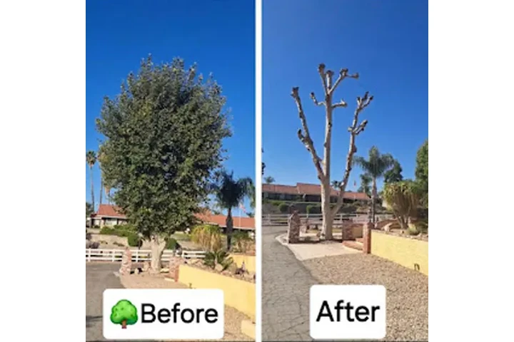 JV's Gardening and Tree Serv image 3