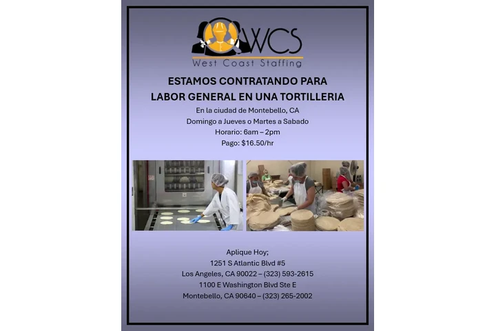 Trabajos en una Tortilleria image 1