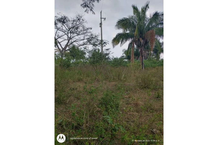 ¡SE VENDE ISLA EN VERACRUZ! image 9