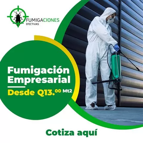 Fumigaciones Efectivas image 6