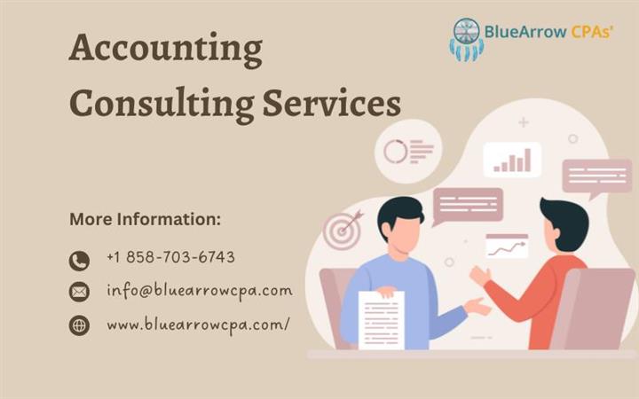 Accounting consulting services image 1