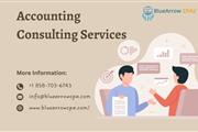 Accounting consulting services
