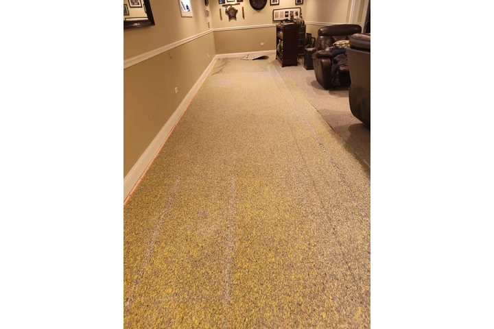 Panther construction image 5