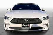 $17708 : Ford Mustang 2019 EcoBoost P thumbnail