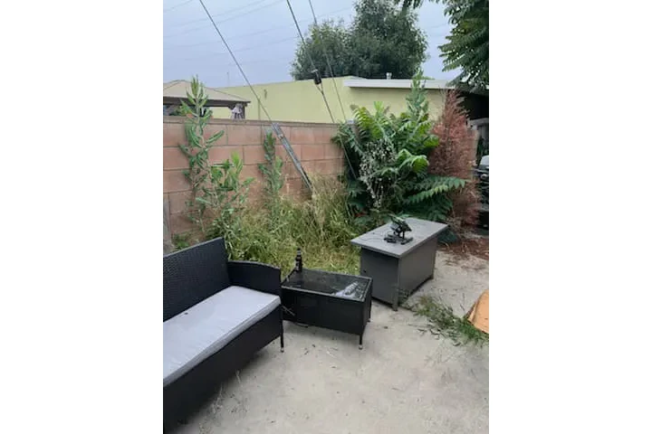 Corte de pasto 🏡$35 image 6