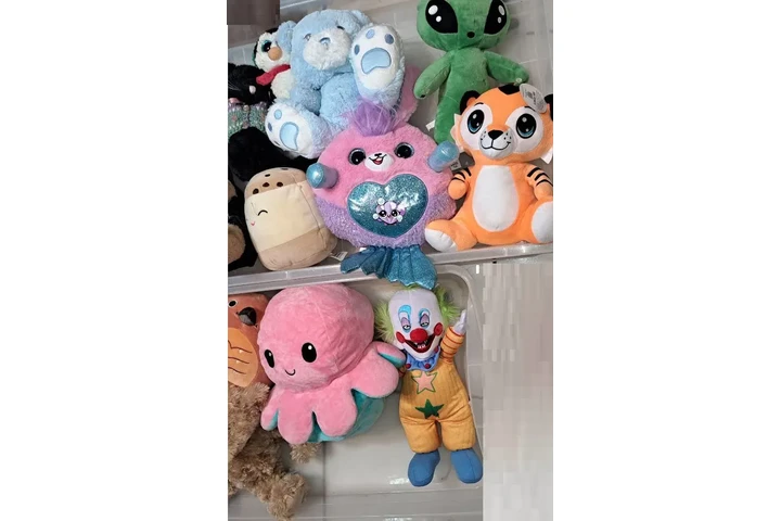 $300 : PAQUETE DE 19 PELUCHES DIFEREN image 5