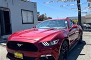 $16999 : 2016 Mustang thumbnail